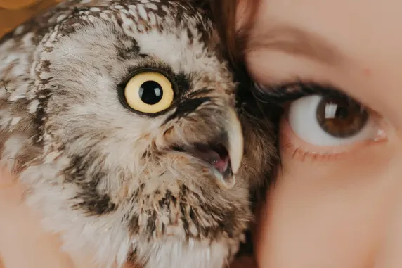 Casino Palace of Chance Stuðningur